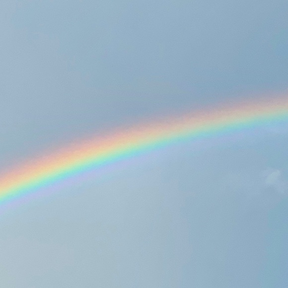 Meet your Posher, CharLee - Picture 2 of 10